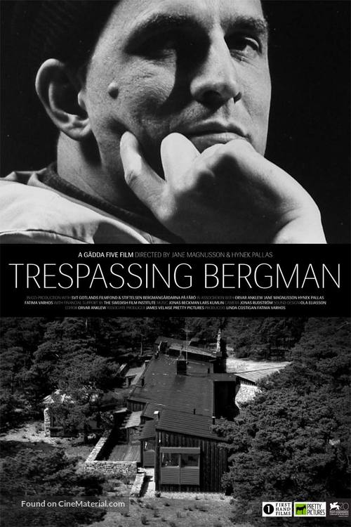 Trespassing Bergman - Swedish Movie Poster