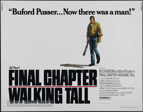 Final Chapter: Walking Tall - Theatrical movie poster