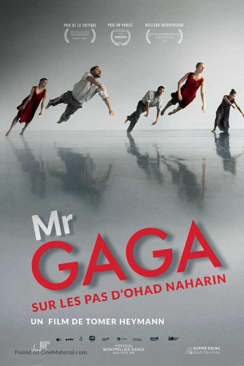 Mr. Gaga - French Movie Poster