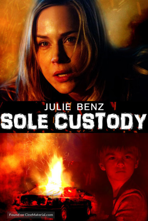 Sole Custody - DVD movie cover