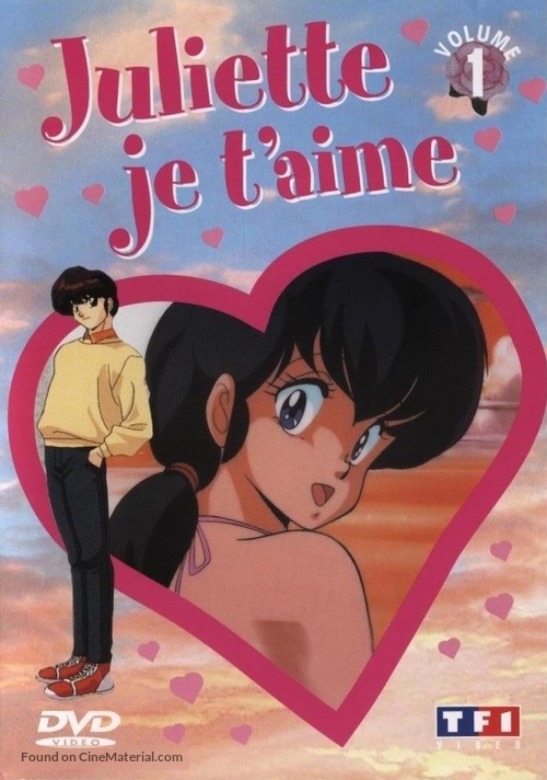 &quot;Mezon Ikkoku&quot; - French DVD movie cover