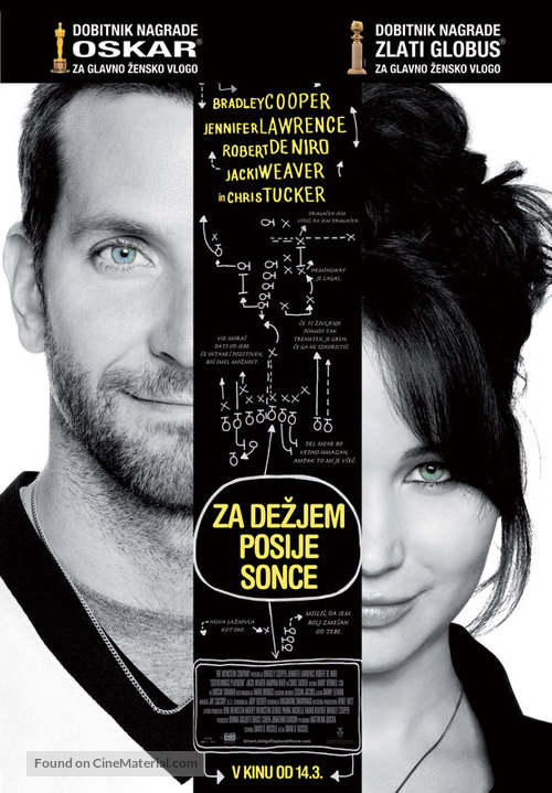 Silver Linings Playbook - Slovenian Movie Poster