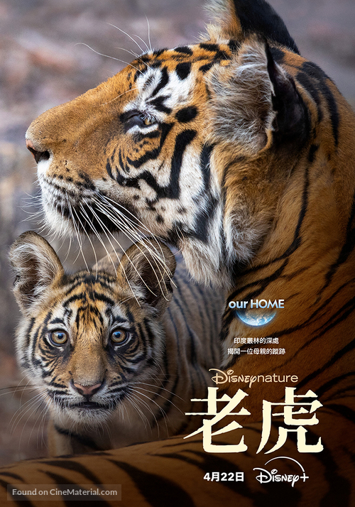 Tiger - Taiwanese Movie Poster