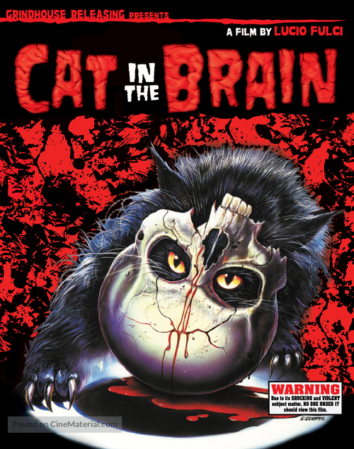 Un gatto nel cervello - Blu-Ray movie cover