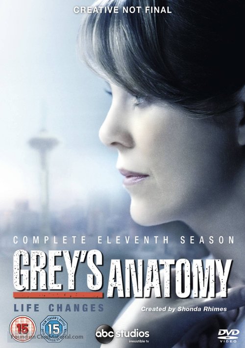 &quot;Grey&#039;s Anatomy&quot; - British DVD movie cover