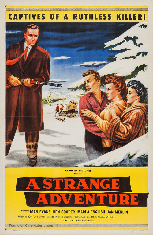 A Strange Adventure - Movie Poster