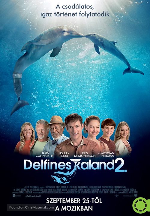 Dolphin Tale 2 - Hungarian Movie Poster