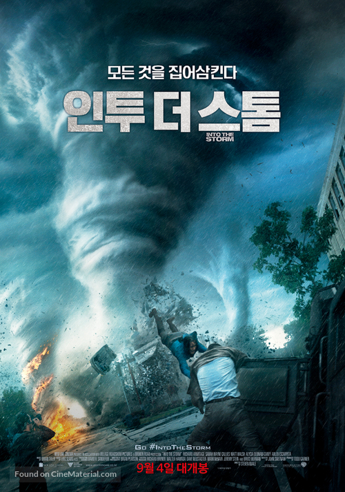 Into the Storm - South Korean Movie Poster