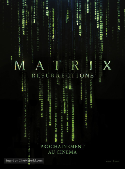 The Matrix Resurrections - French Movie Poster