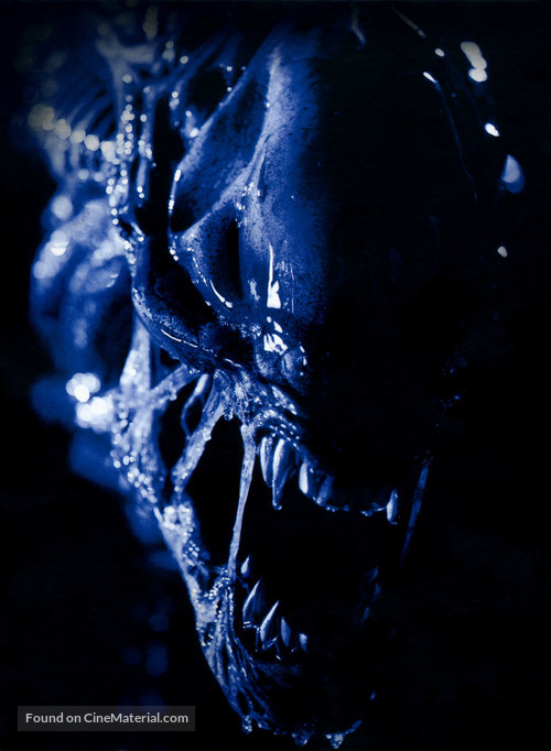 AVPR: Aliens vs Predator - Requiem - Key art