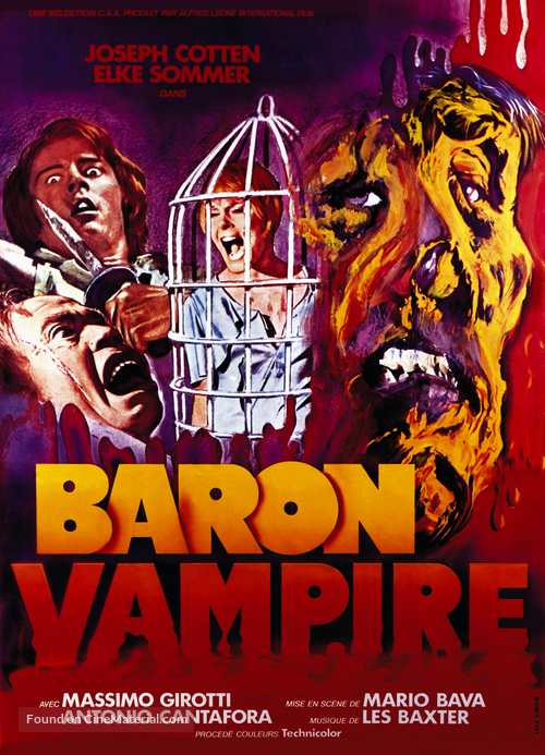 Gli orrori del castello di Norimberga - French Movie Poster