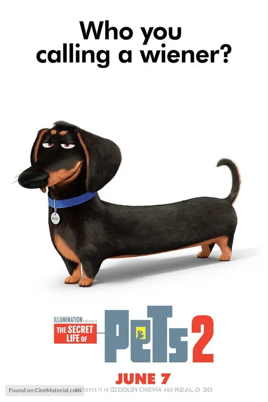 The Secret Life Of Pets 2 2019 Movie Poster