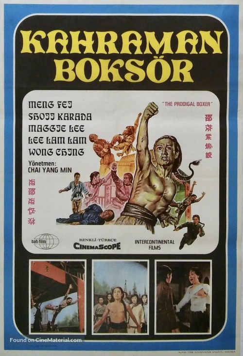 Fang Shi Yu - Turkish Movie Poster