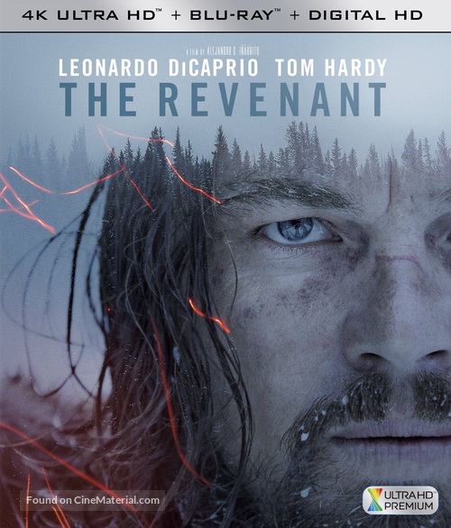 The Revenant - Movie Cover