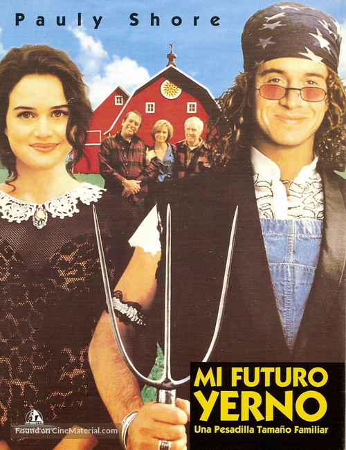 Son in Law - Argentinian DVD movie cover