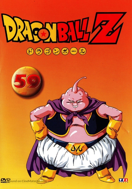 &quot;Dragon Ball Z&quot; - French DVD movie cover