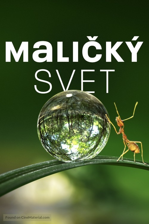 &quot;Tiny World&quot; - Slovak Movie Cover