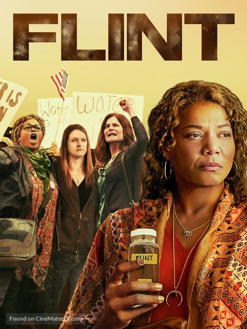 Flint - Video on demand movie cover