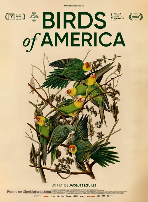 Birds of America - French Movie Poster