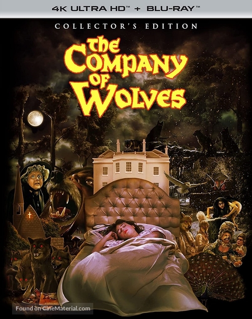 The Company of Wolves - Blu-Ray movie cover