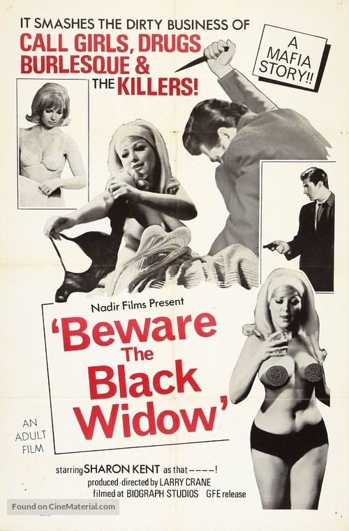 Beware the Black Widow - Movie Poster