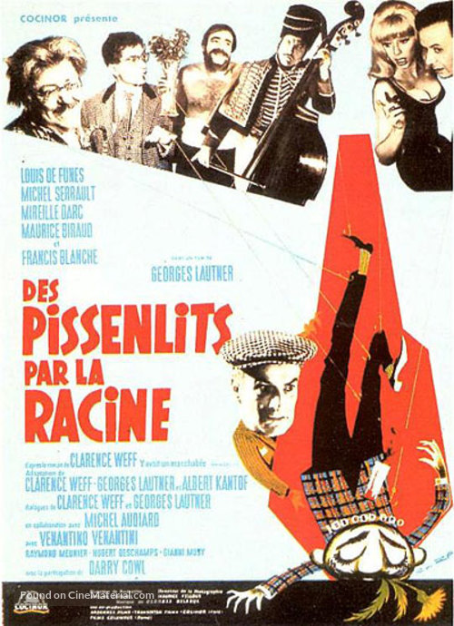 Des pissenlits par la racine - French Movie Poster