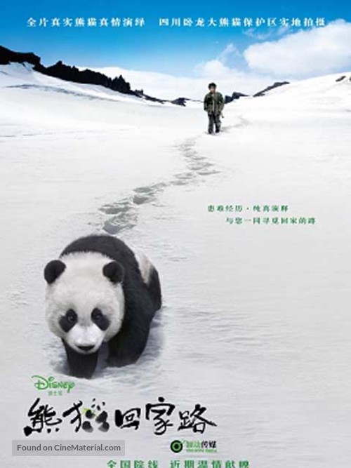 Touch of the Panda - Chinese Movie Poster