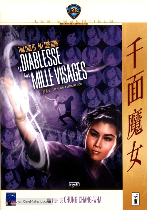 Qian mian mo nu - French DVD movie cover