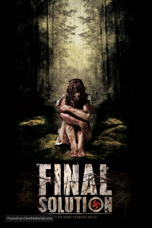 The Final Solution - Movie Poster