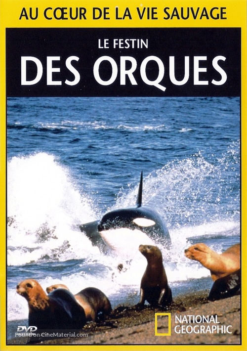 &quot;National Geographic Explorer&quot; - French Movie Cover