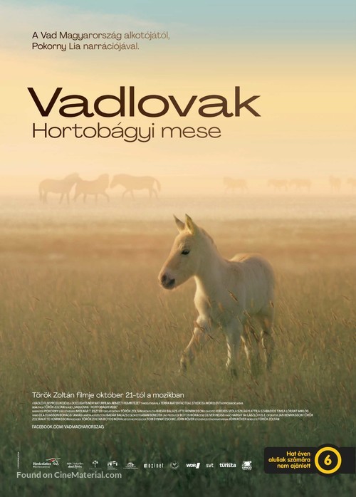 Wild Horses: A Tale from the Puszta - Hungarian Movie Poster