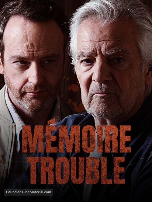 M&eacute;moire trouble - French poster