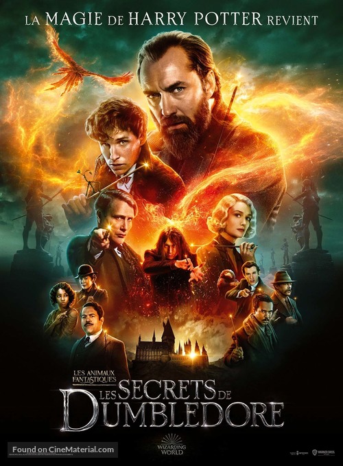 Fantastic Beasts: The Secrets of Dumbledore - French Movie Poster