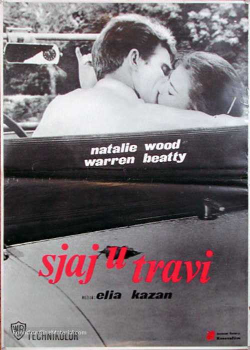 Splendor in the Grass - Yugoslav Movie Poster