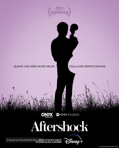 Aftershock - French Movie Poster