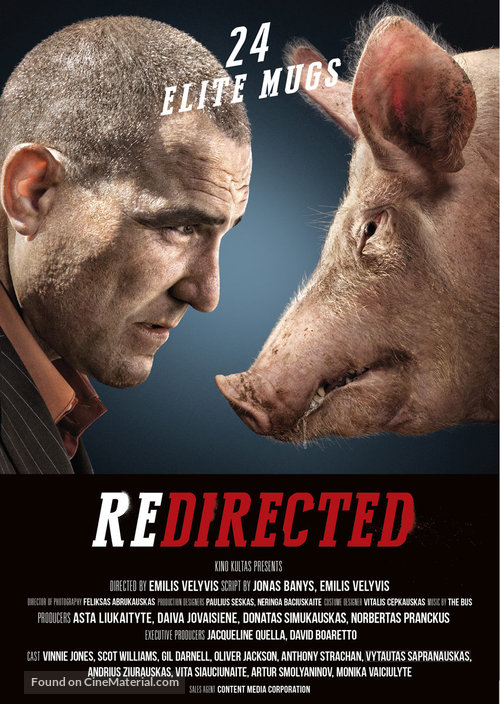 Redirected - British Movie Poster