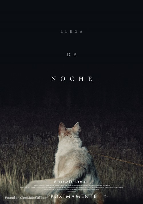 It Comes at Night - Spanish Movie Poster