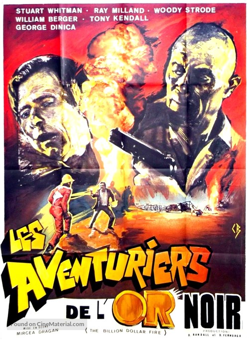 Cuibul salamandrelor - French Movie Poster