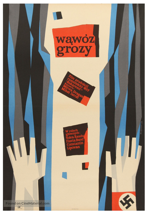 Dincolo de brazi - Polish Movie Poster