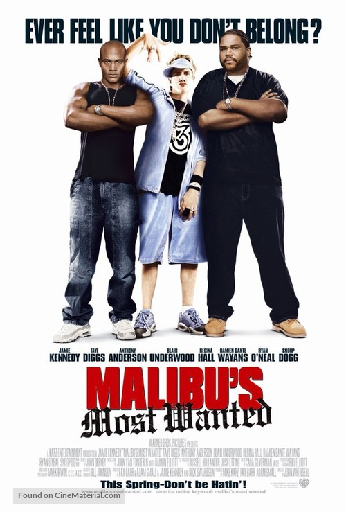 Malibu&#039;s Most Wanted - Movie Poster