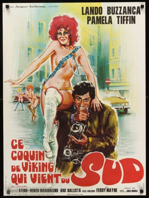 Il vichingo venuto dal sud - French Movie Poster