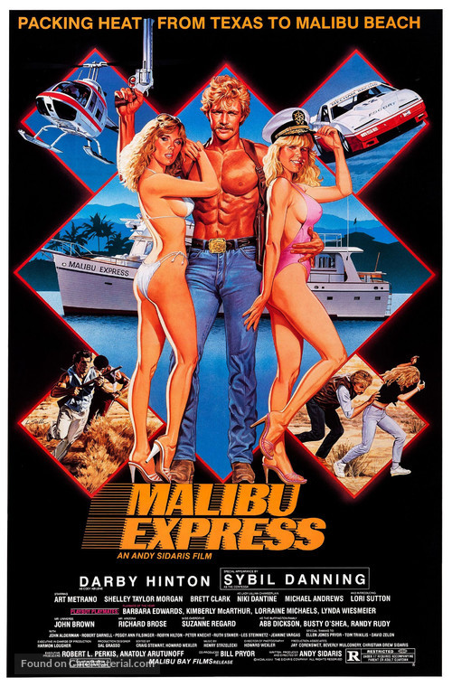 Malibu Express - Movie Poster