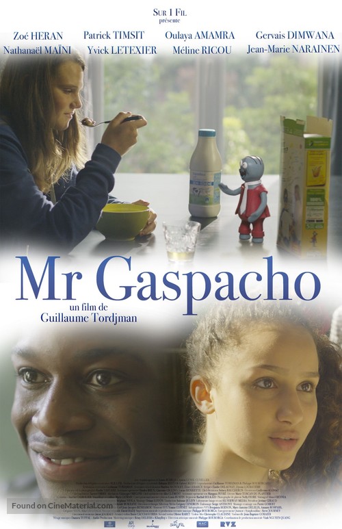 Mr Gaspacho - French Movie Poster