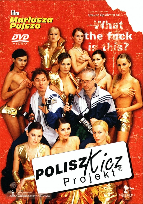 Polisz kicz projekt - Polish Movie Cover