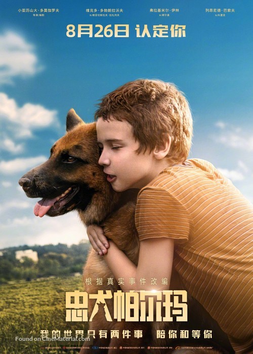 Palma - Chinese Movie Poster