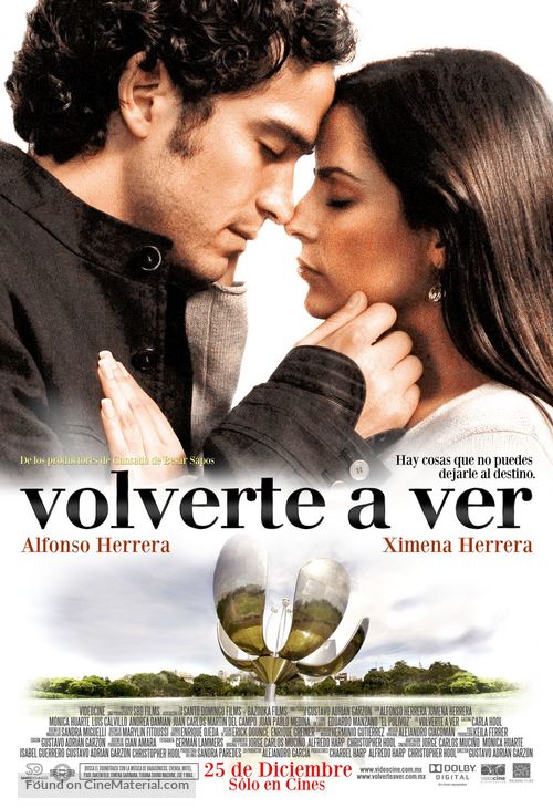 Volverte a ver - Mexican Movie Poster