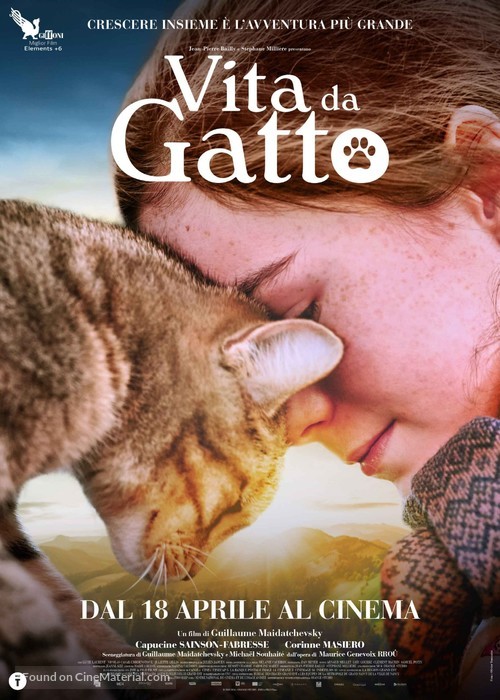 Mon chat et moi, la grande aventure de Rro&ucirc; - Italian Movie Poster