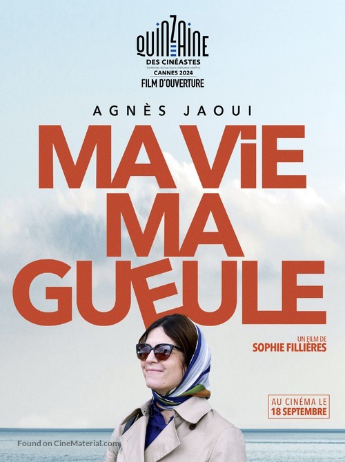 Ma vie Ma gueule - French Movie Poster