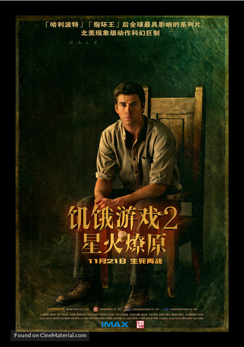 The Hunger Games: Catching Fire - Chinese Movie Poster