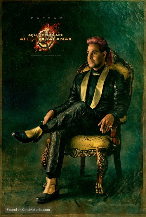 The Hunger Games: Catching Fire - Turkish Movie Poster